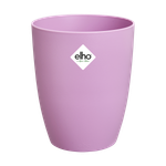 brussels orchidée haut 12,5cm violet vif